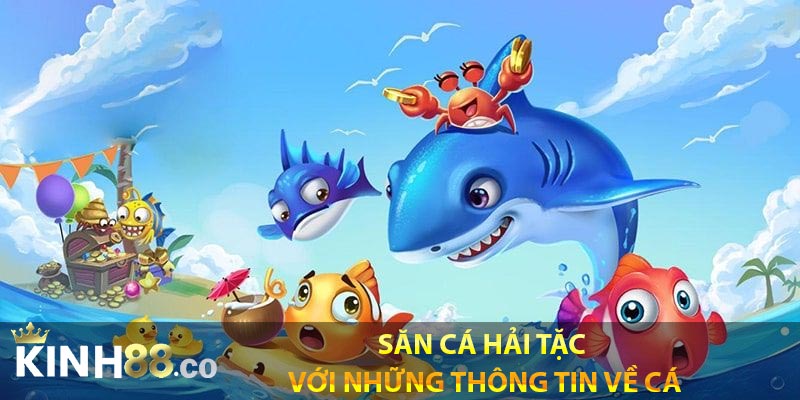 Săn cá hải tặc với những thông tin về cá